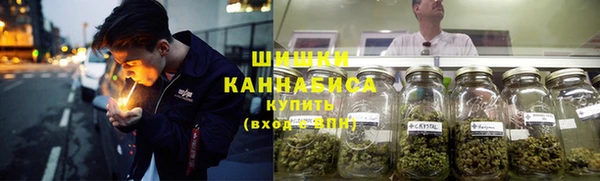 ешки Аркадак