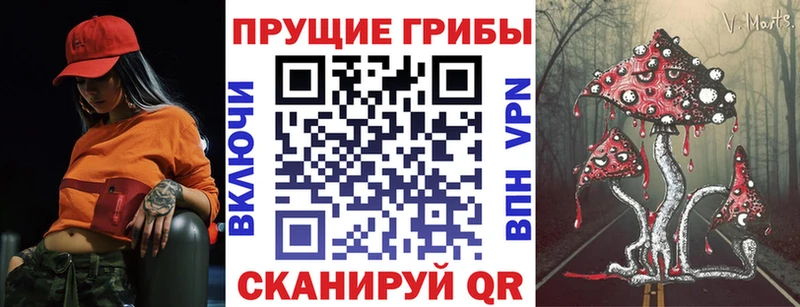 Псилоцибиновые грибы прущие грибы  Верхняя Пышма 